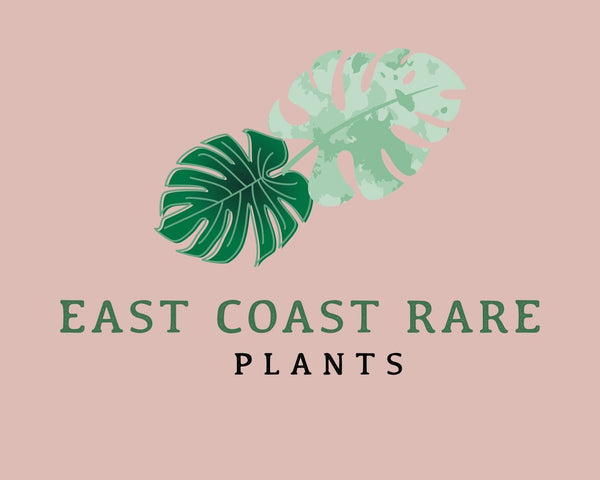 East Coast Rare Plants